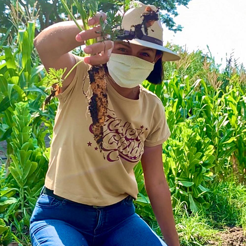 Medio ambiente de Morelos Medio ambiente de Morelos