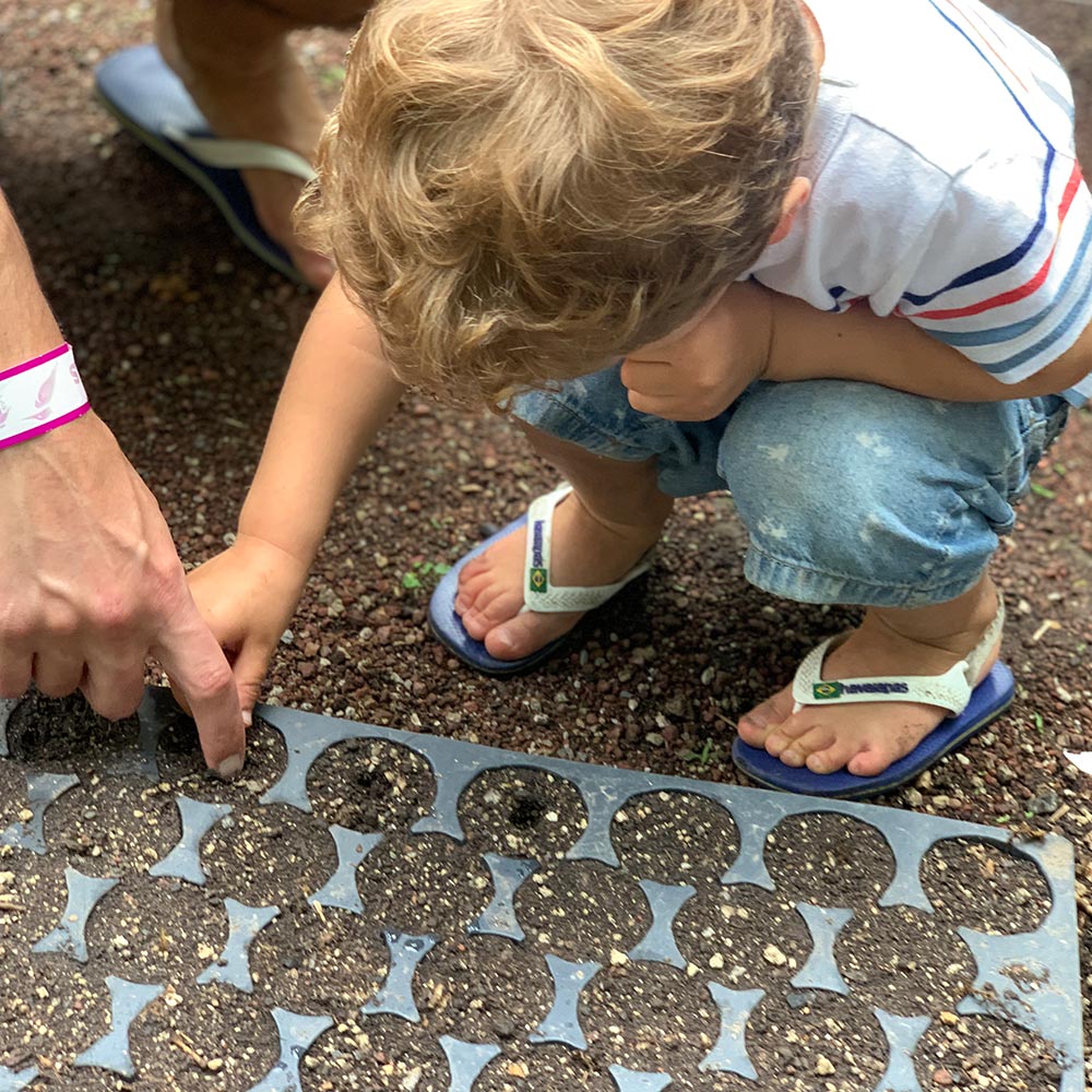 Medio ambiente de Morelos Medio ambiente de Morelos