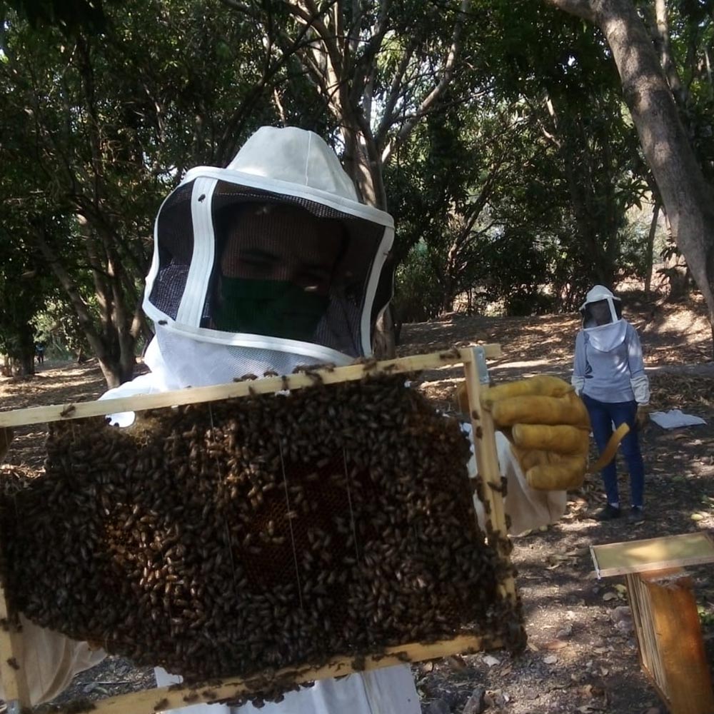 Medio ambiente de Morelos Medio ambiente de Morelos