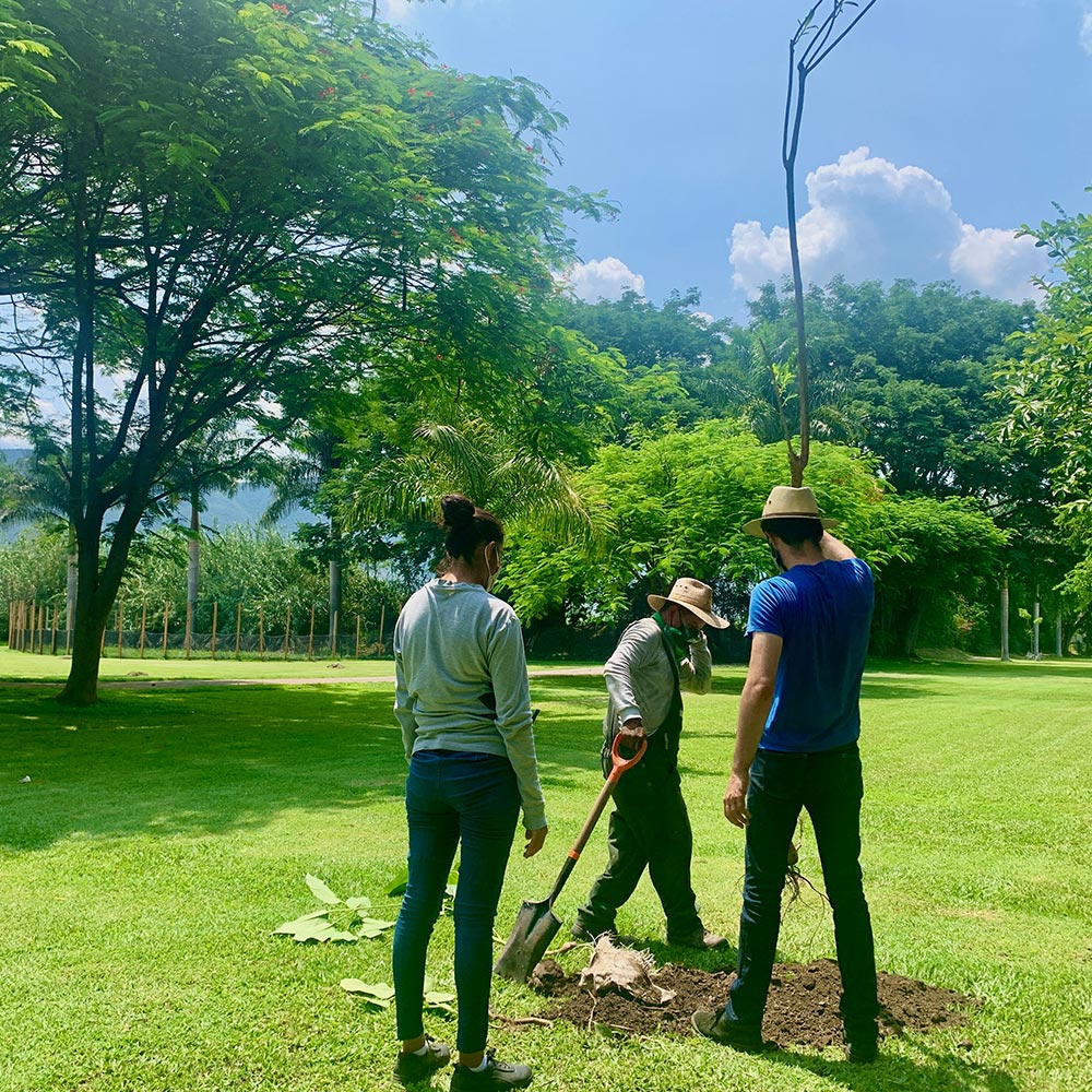 Cuidado ambiental en Las Estacas Cuidado ambiental en Las Estacas